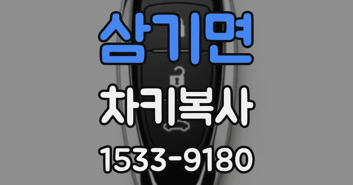 삼기면 차키복사