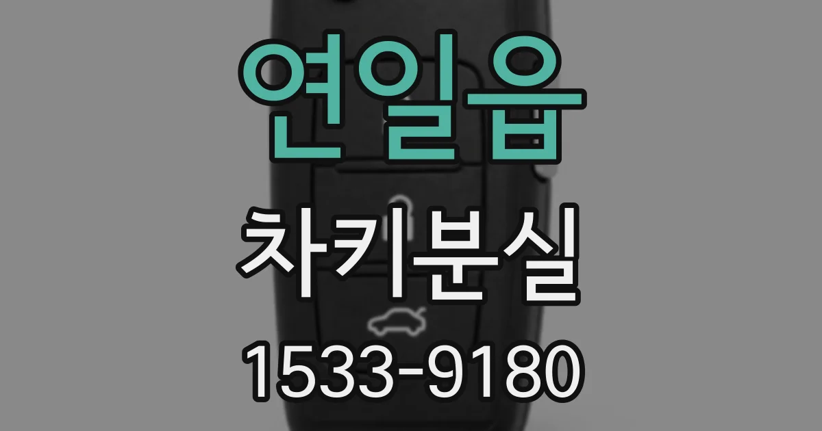 연일읍 차키분실