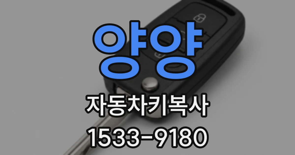 양양 자동차키복사