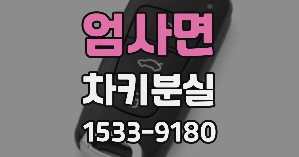 엄사면 차키분실