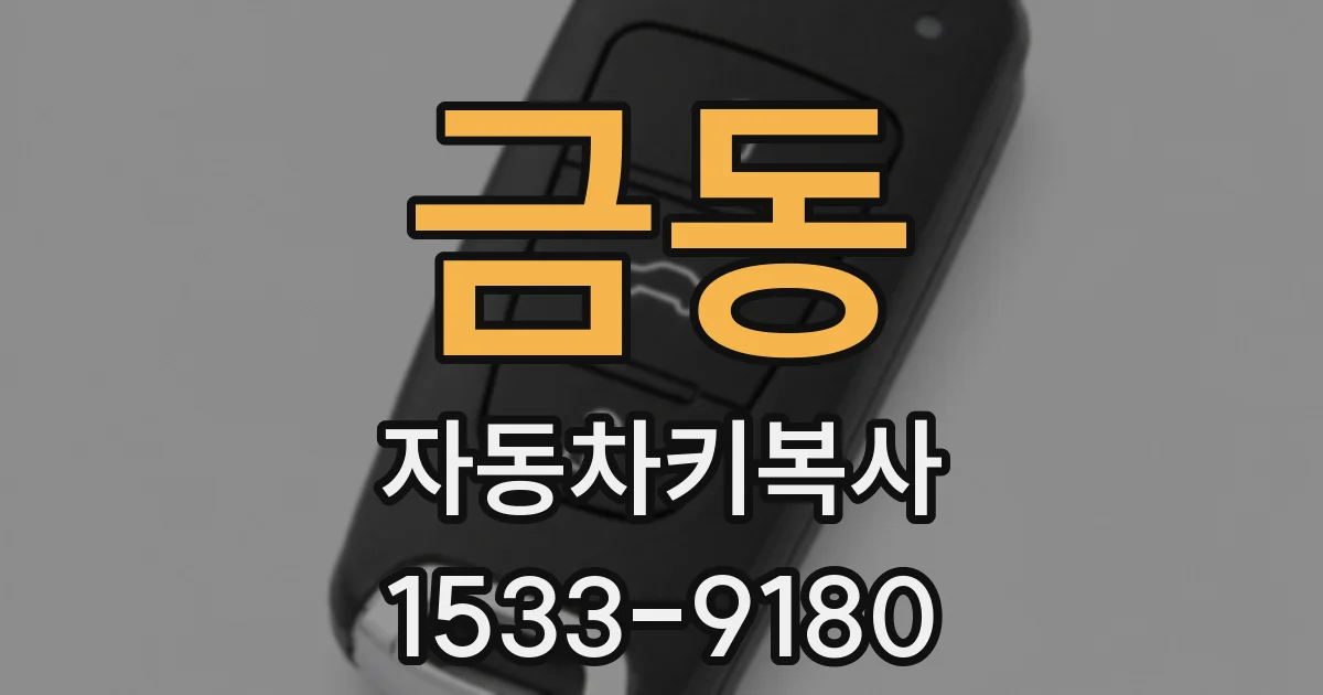 금동 자동차키복사