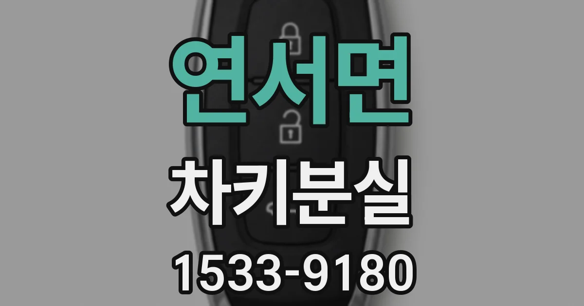 연서면 차키분실
