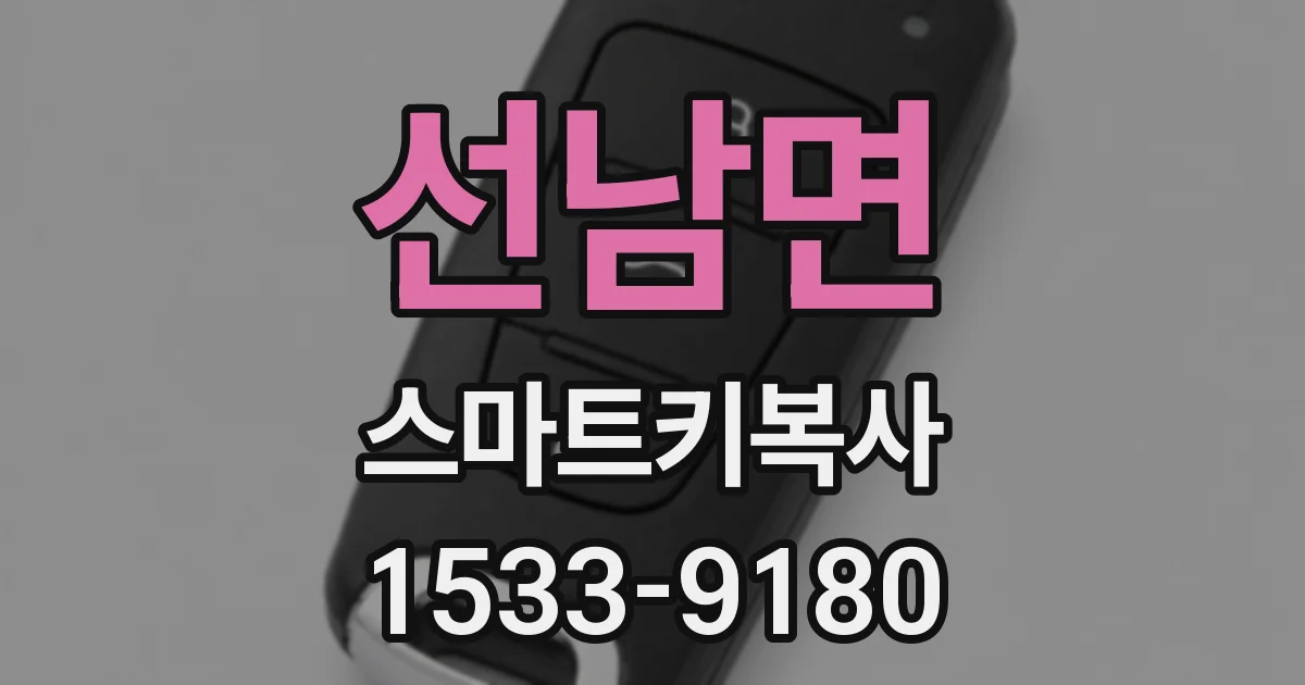 선남면 스마트키복사