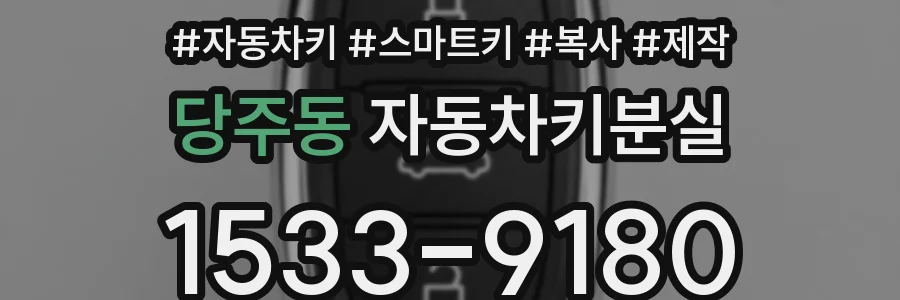 당주동 자동차키분실