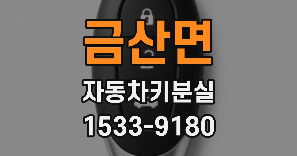 금산면 자동차키분실