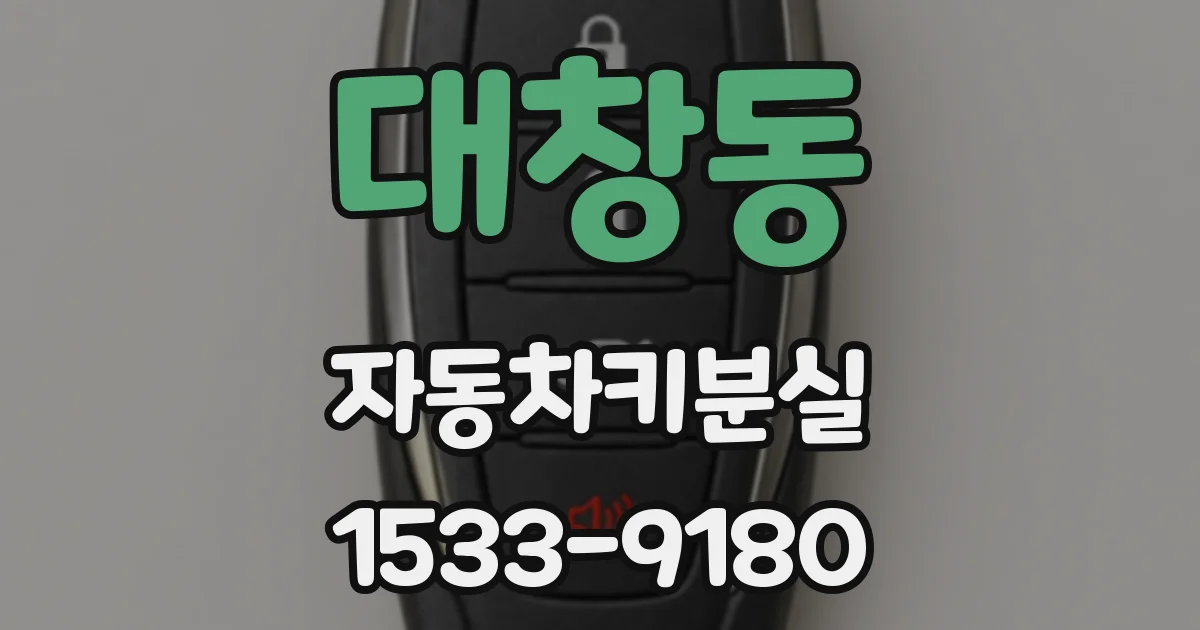 대창동 자동차키분실