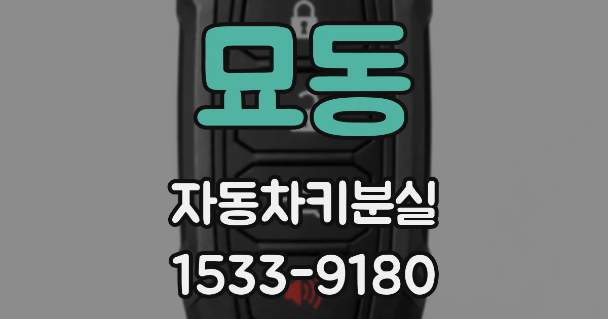 묘동 자동차키분실