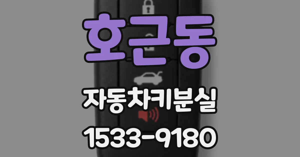 호근동 자동차키분실
