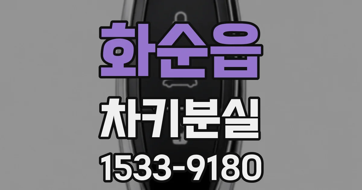 화순읍 차키분실