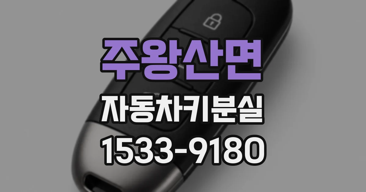주왕산면 자동차키분실