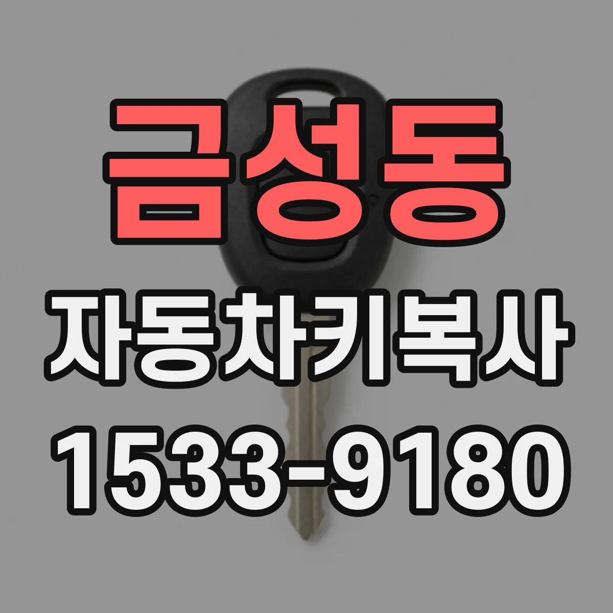 금성동 자동차키복사