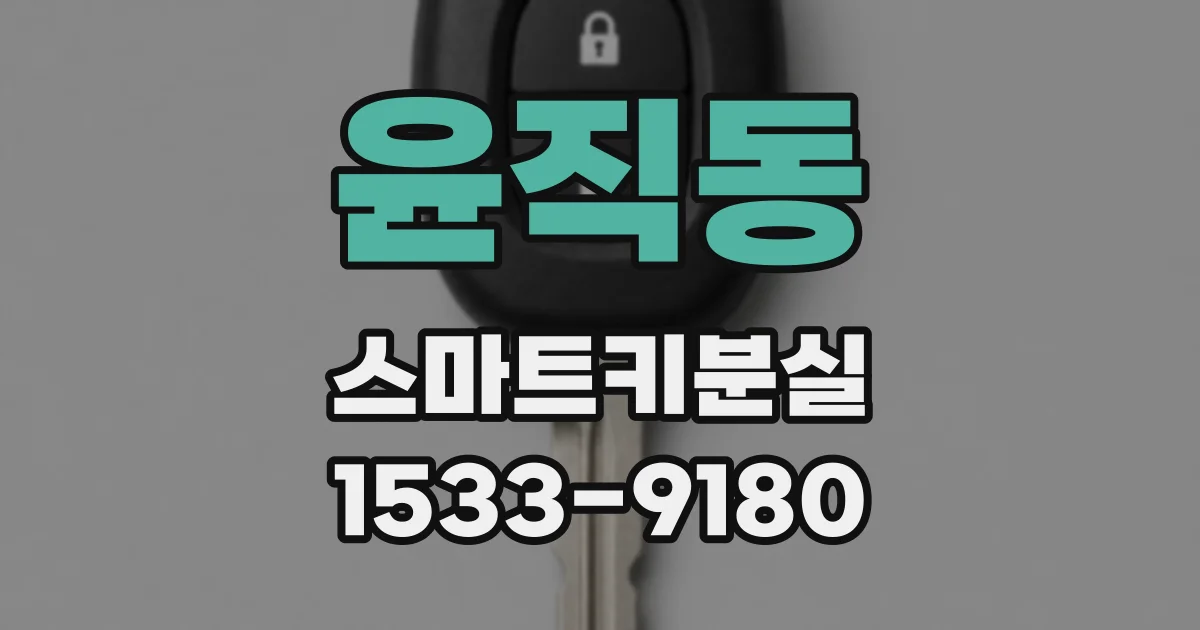 윤직동 스마트키분실