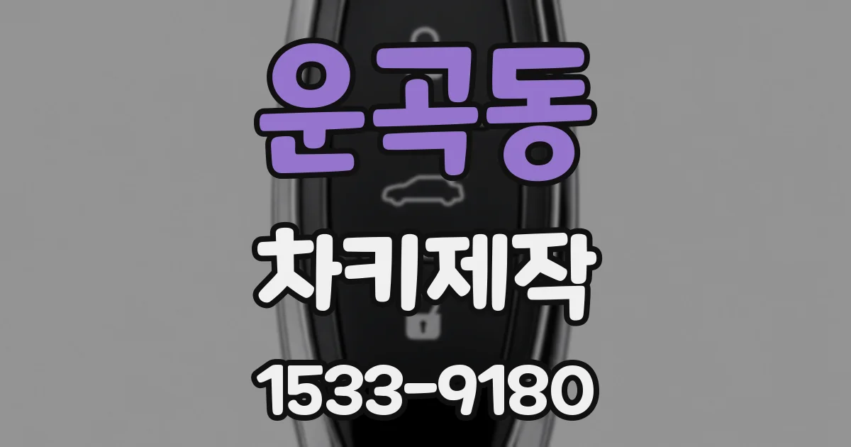 운곡동 차키제작