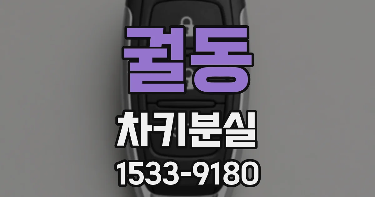궐동 차키분실