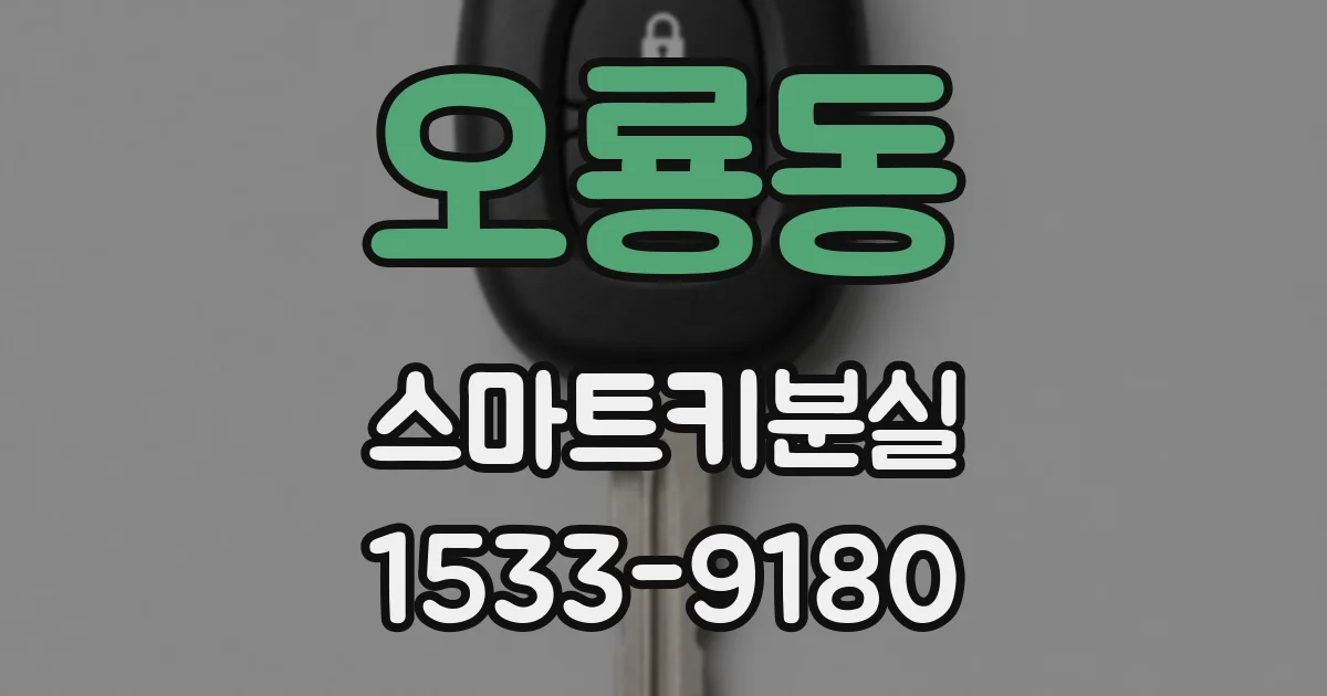 오룡동 스마트키분실