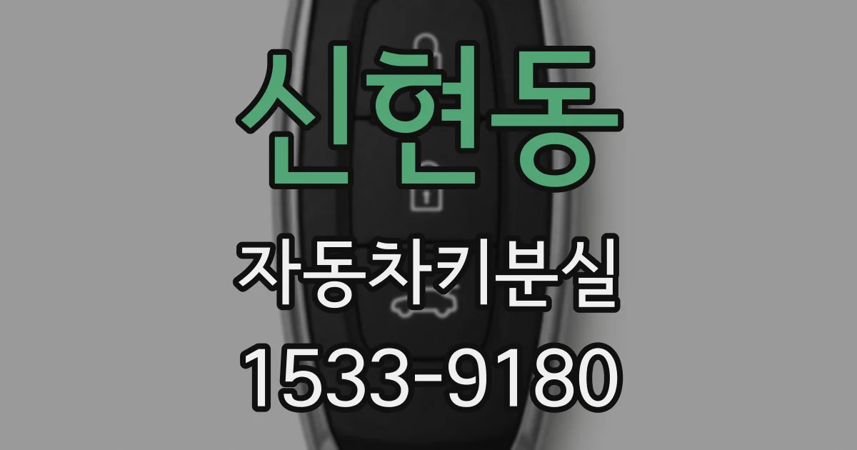신현동 자동차키분실