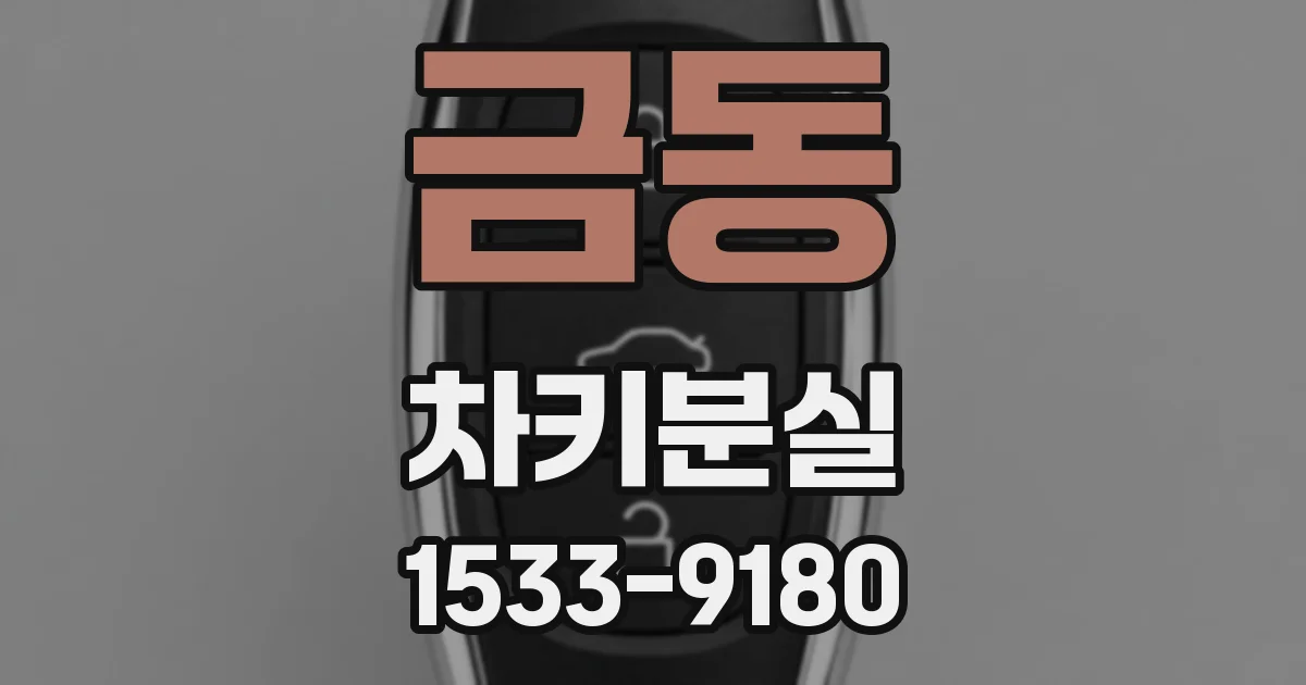 금동 차키분실