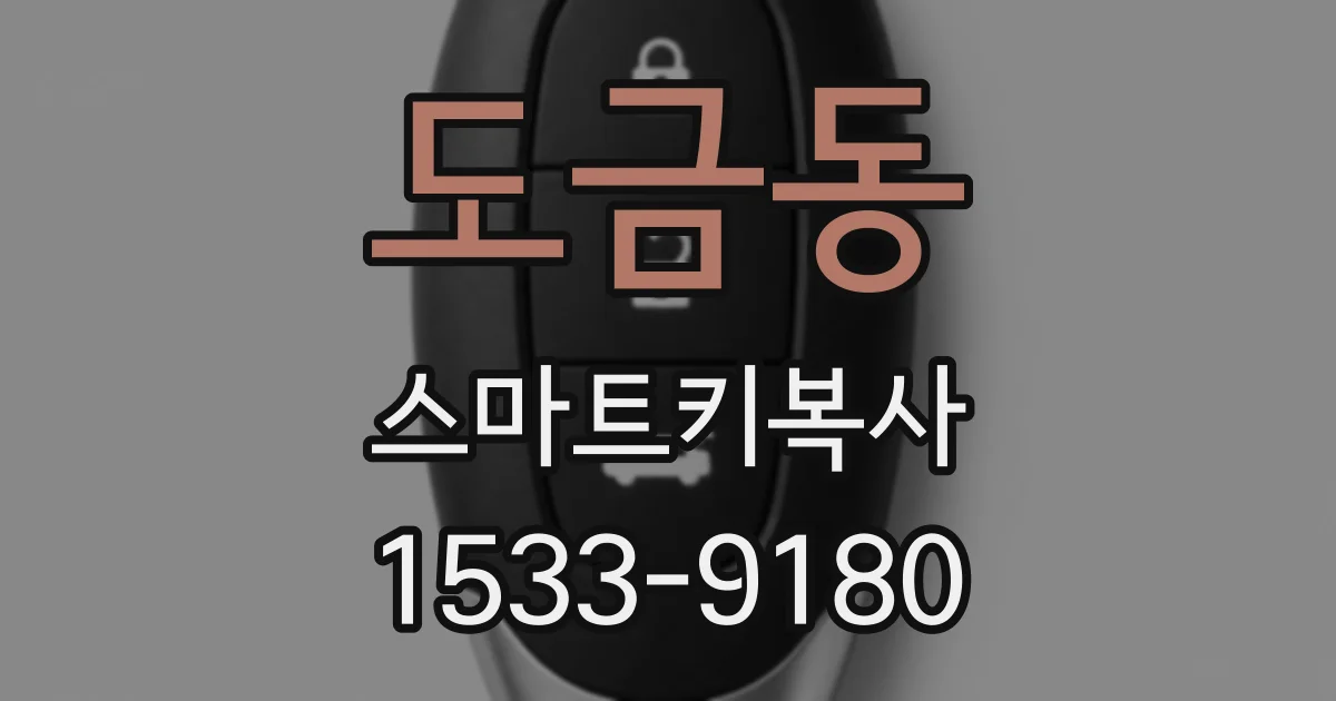 도금동 스마트키복사