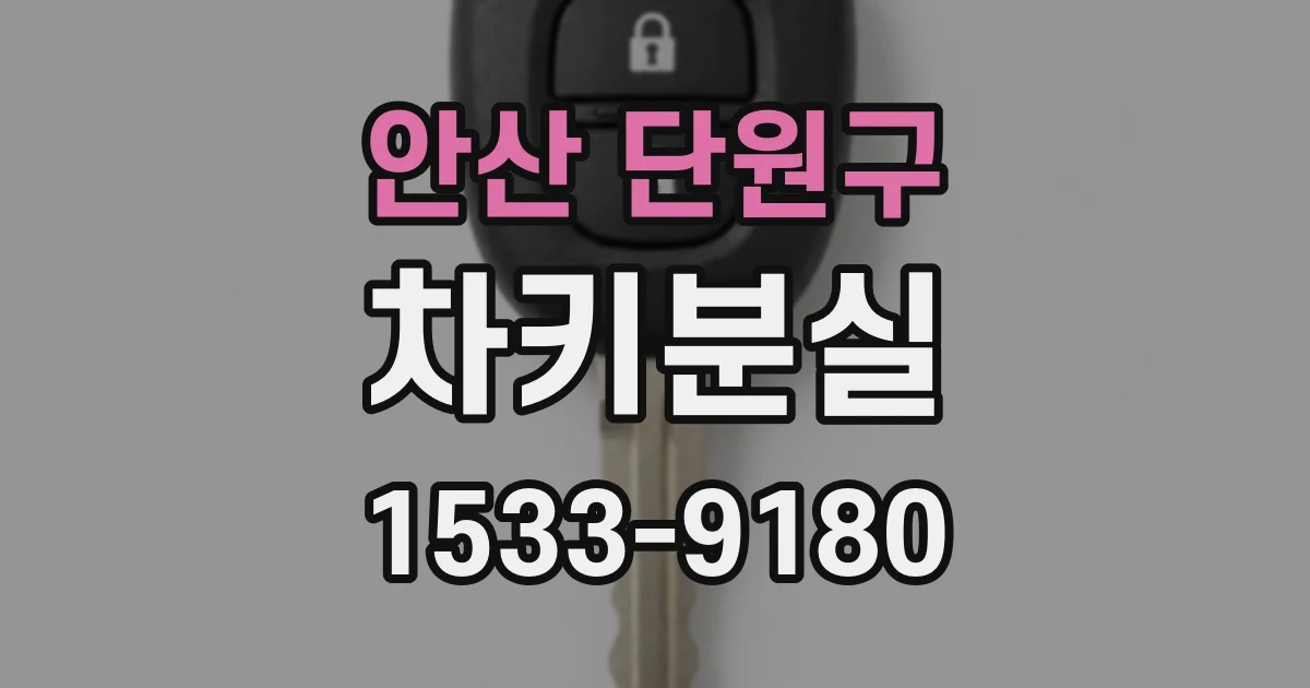 안산 단원구 차키분실