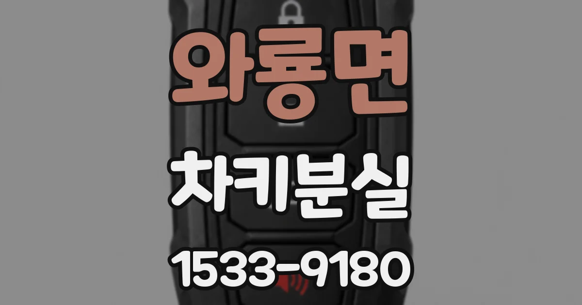 와룡면 차키분실