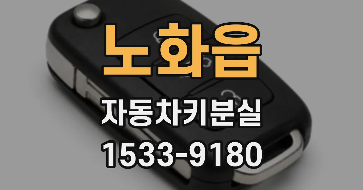 노화읍 자동차키분실