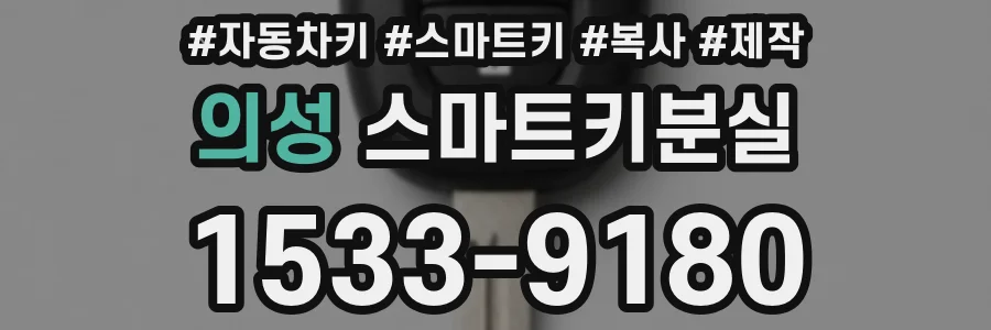 의성 스마트키분실