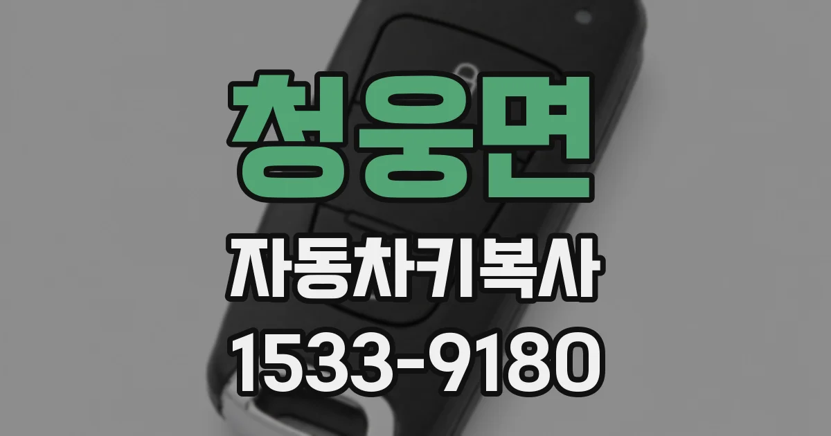 청웅면 자동차키복사