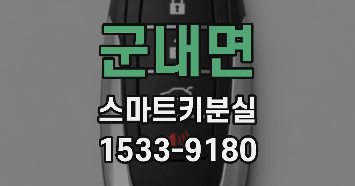 군내면 스마트키분실