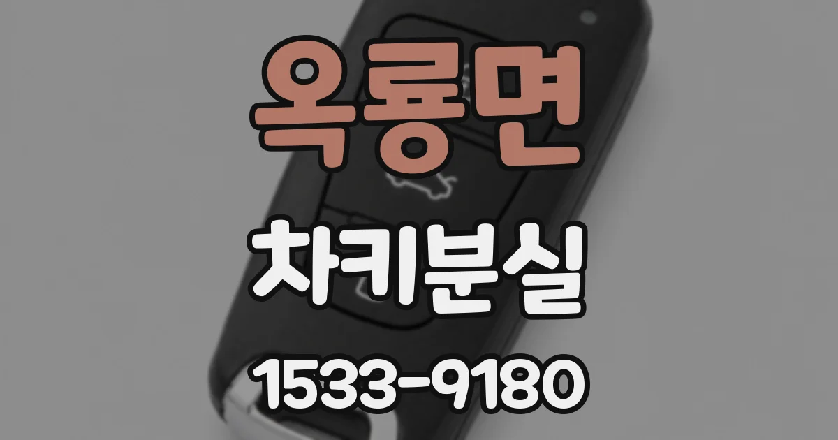 옥룡면 차키분실