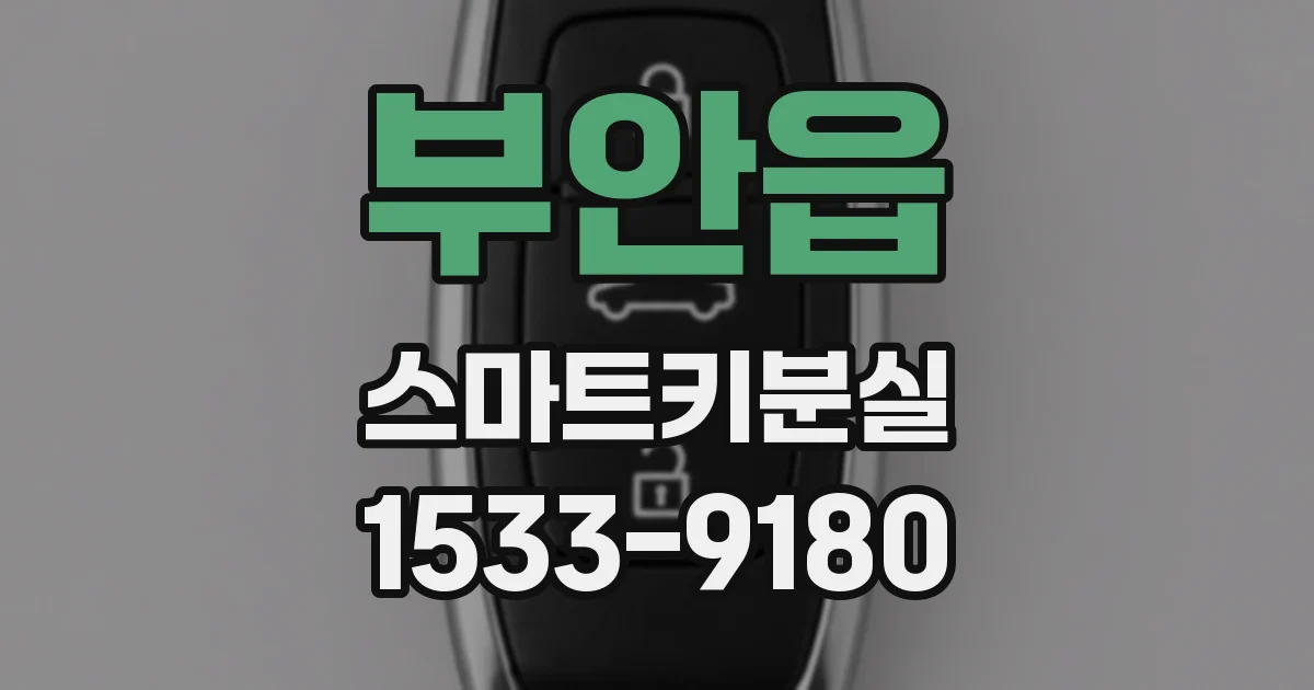 부안읍 스마트키분실