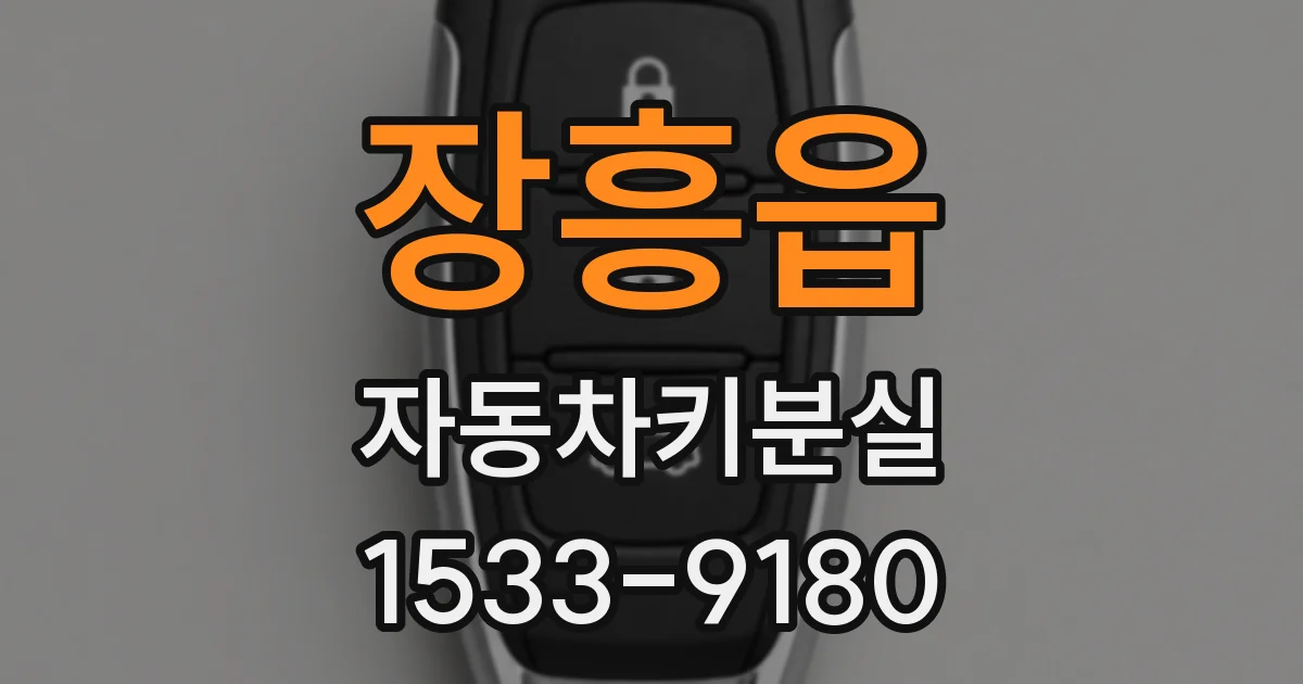 장흥읍 자동차키분실