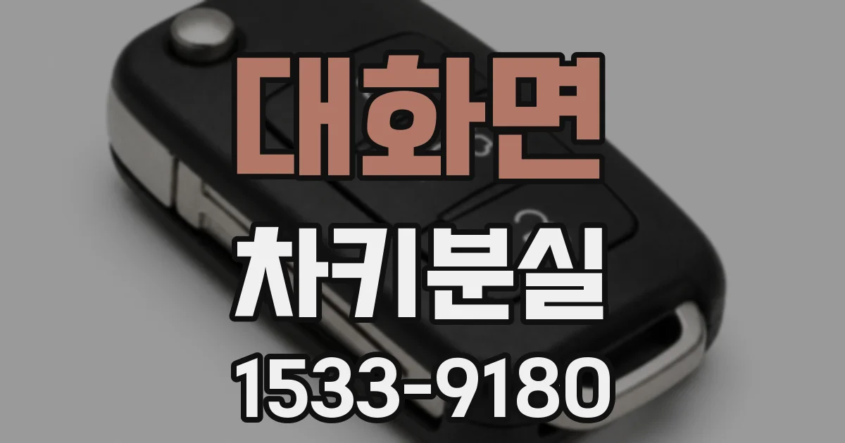 대화면 차키분실