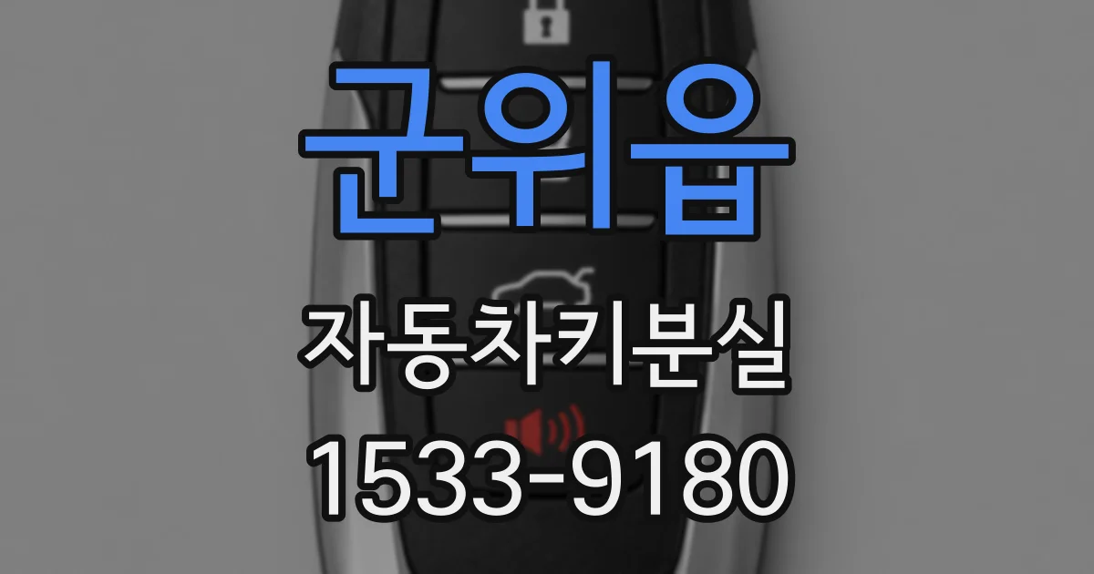 군위읍 자동차키분실