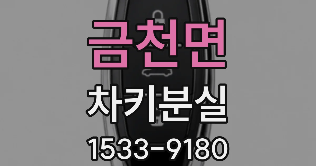 금천면 차키분실