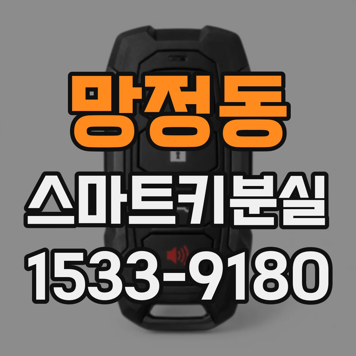 망정동 스마트키분실