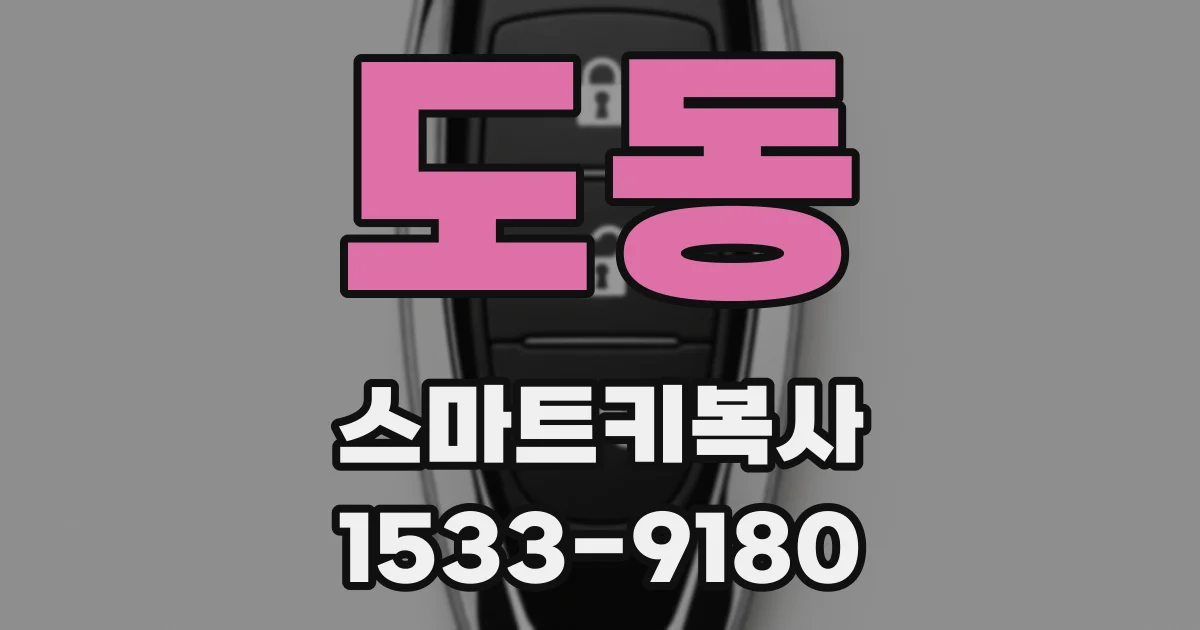 도동 스마트키복사