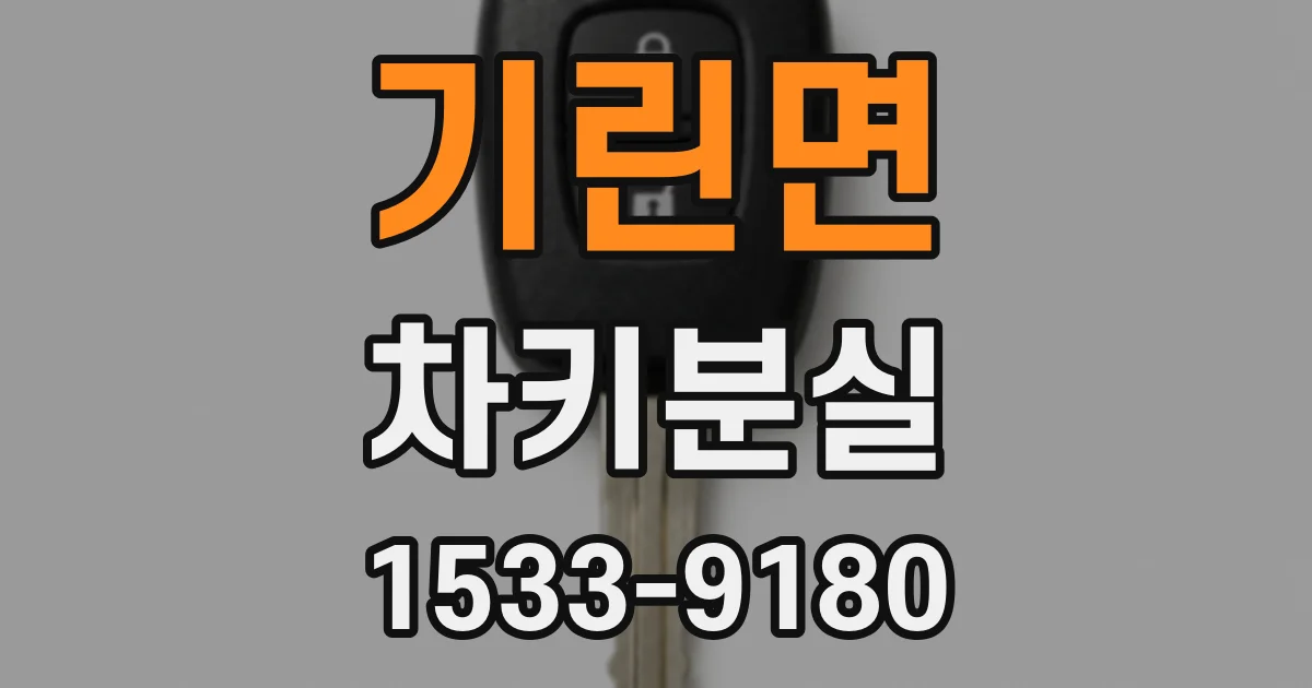 기린면 차키분실