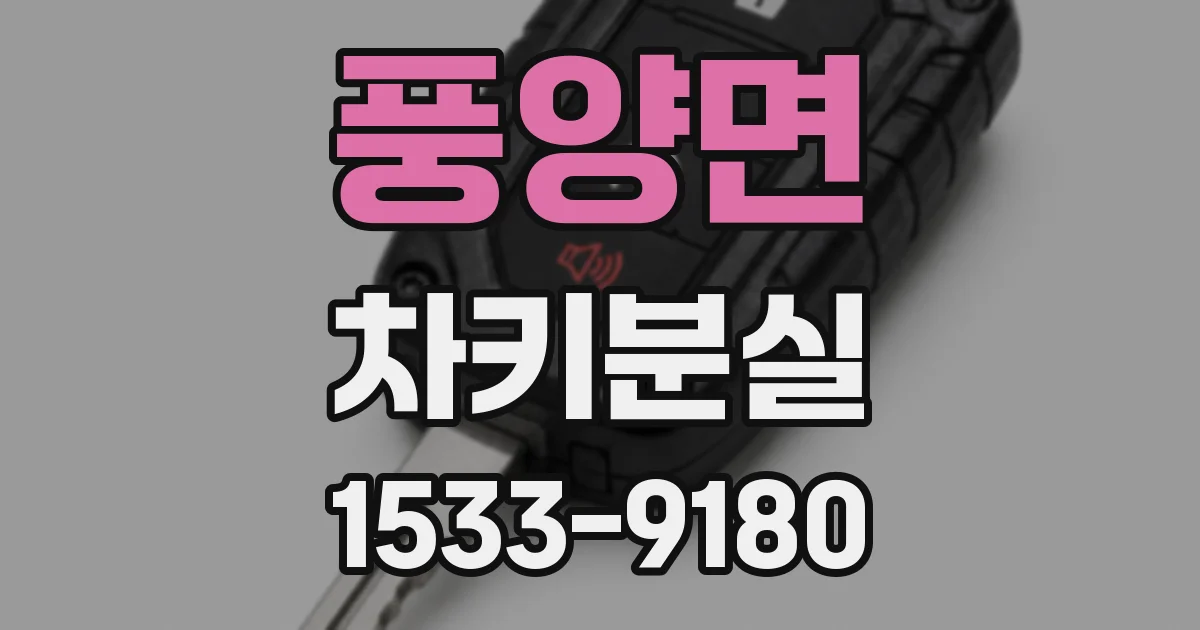 풍양면 차키분실