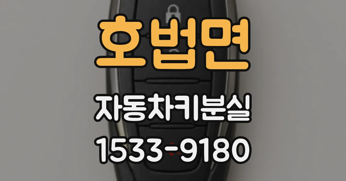 호법면 자동차키분실