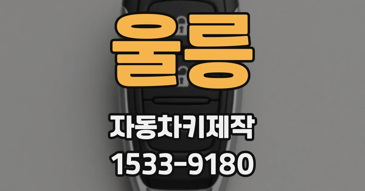 울릉 자동차키제작