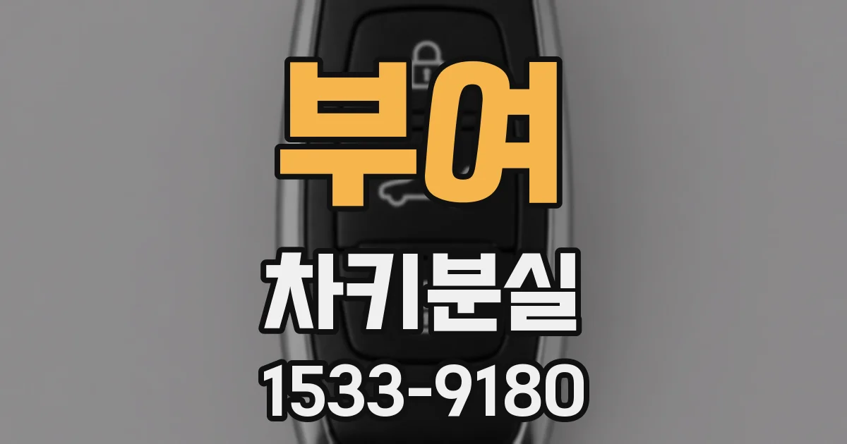 부여 차키분실