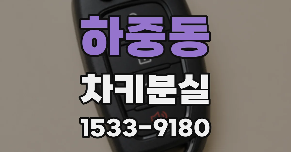 하중동 차키분실