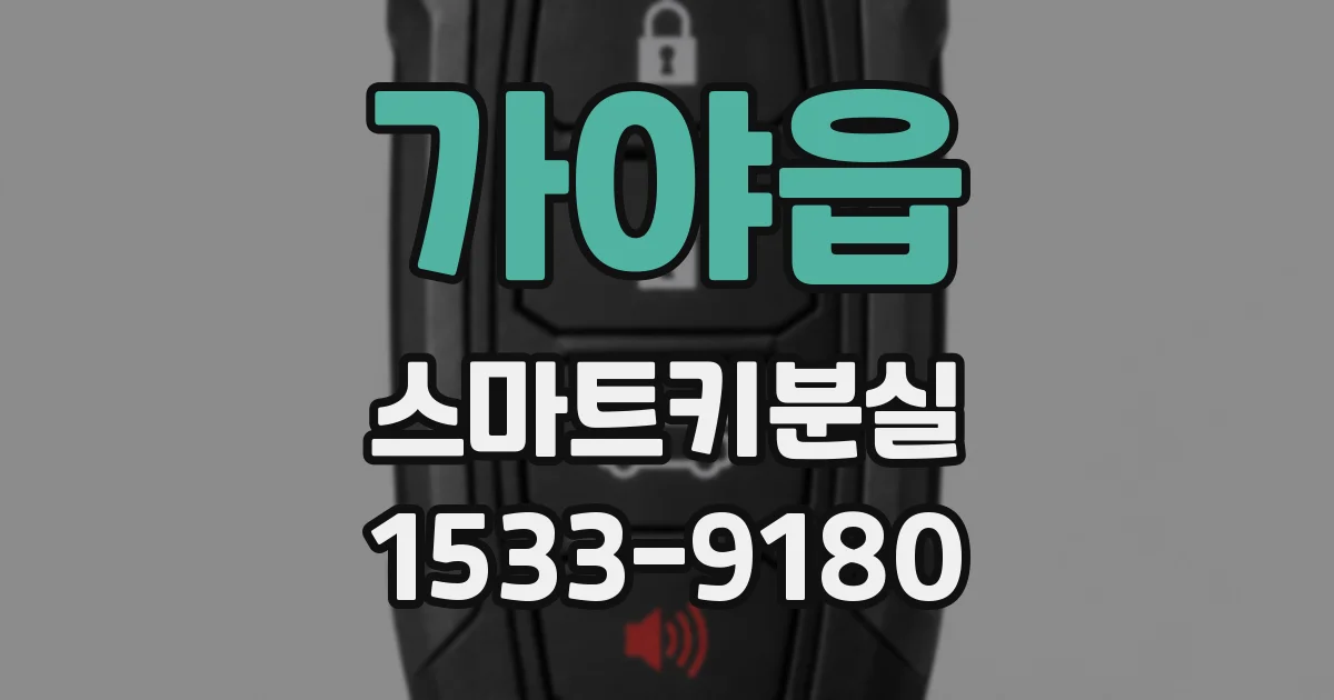 가야읍 스마트키분실