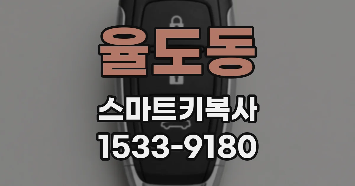 율도동 스마트키복사