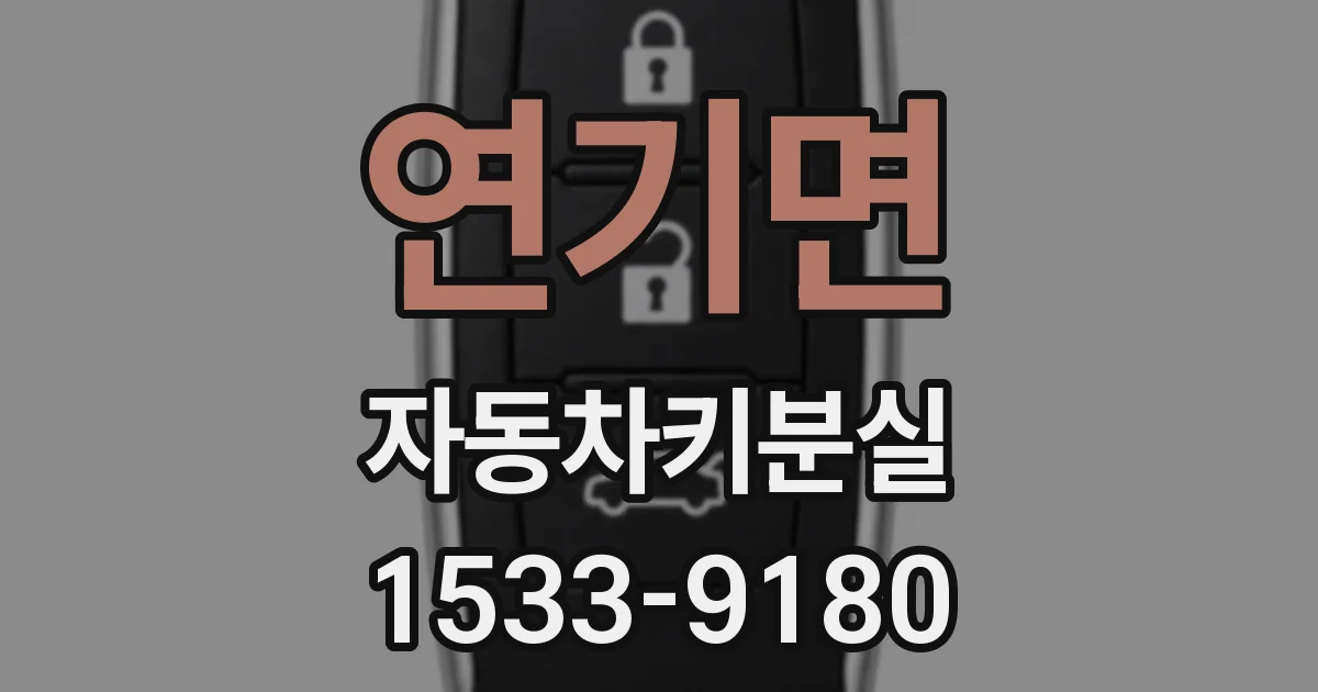 연기면 자동차키분실