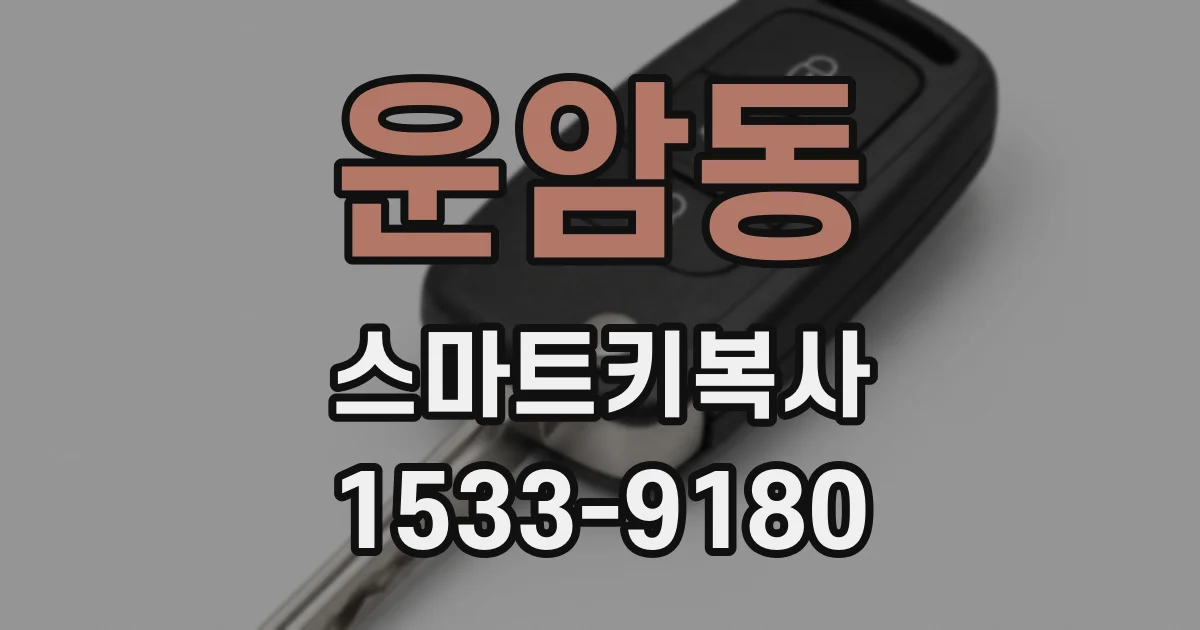 운암동 스마트키복사