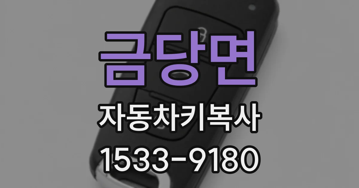 금당면 자동차키복사
