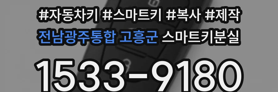 전남광주통합 고흥군 스마트키분실