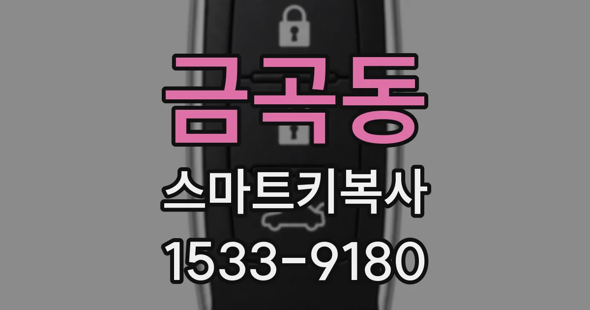 금곡동 스마트키복사
