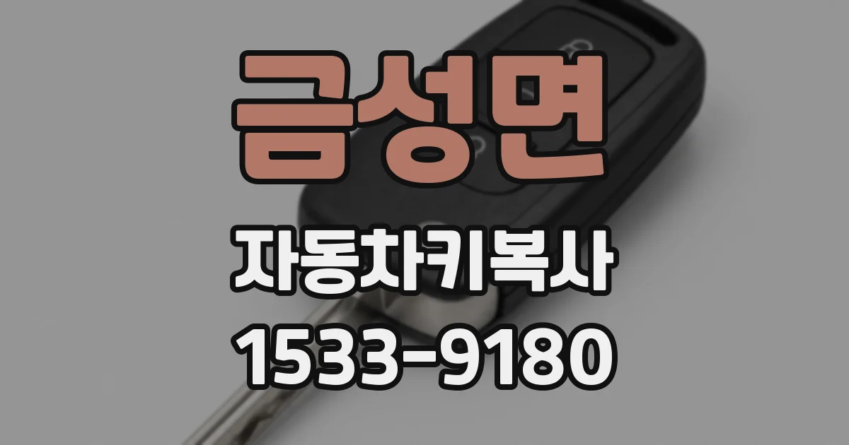 금성면 자동차키복사